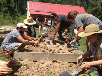 Growing Growers with the National Young Farmers Coalition Image